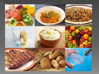 Web quest: Health&Fitness