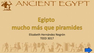Elizabeth Hernández Negrón
TEED 3017
 
