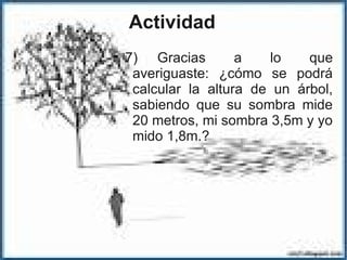 Actividad
7) Gracias a lo que
averiguaste: ¿cómo se podrá
calcular la altura de un árbol,
sabiendo que su sombra mide
20 metros, mi sombra 3,5m y yo
mido 1,8m.?
 