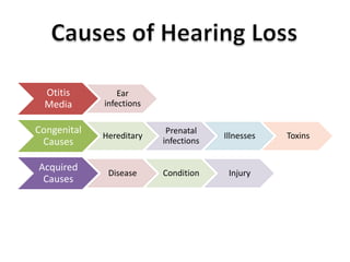 Otitis 
Media 
Ear 
infections 
Congenital 
Causes 
Hereditary 
Prenatal 
infections 
Illnesses Toxins 
Acquired 
Causes 
Disease Condition Injury 
 