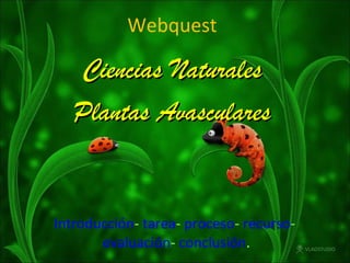 Webquest

   Ciencias Naturales
   Plantas Avasculares


Introducción- tarea- proceso- recurso-
       evaluación- conclusión.
 
