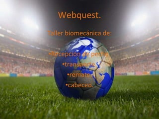Webquest. ,[object Object],[object Object],[object Object],[object Object],[object Object]