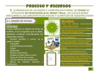 PROCESO Y RECURSOS
   3.ELABORACION DE UN DISEÑO Y COMPOSICION FORMAL DE FICHAS DE
   TIPOLOGIAS DE VEGETACION ALTA, MEDIA Y BAJA, LAS CUALES DEBEN
ADECUARSE A LAS CARCATRISTICAS FISICAS Y CLIMATICAS DE NUESTRA CIUDAD

3.1. DISEÑO DE FICHAS                      RECURSOS:
                                           Para tal efecto necesitaras
PROCESO:                                   visitar estos links:
Debes elaborar un diseño de ficha de       http://upcommons.upc.edu/pfc/bitstream/
análisis, en el programa que tu elijas,    2099.1/3275/14/53960-14.pdf
debiendo contener mínimamente los          http://issuu.com/grupopuebla/docs/catalo
siguientes puntos:                         go_de_vaegetacion
•    Nombre científico y común de la
especie vegetal.                           http://www.cacabelos.org/ficheros/diagno
                                           sticocacabelos/fichas_vegetacion.pdf
•    Fotografía.
•    Características principales.          http://articulos.infojardin.com/plantas/plan
•    Origen                                tas.htm
•    Exigencias.                           http://diario.alvarezdelvayo.es/wp-
•    Nivel de crecimiento.                 content/uploads/2009/08/3fichas.jpg
•    Detalle de hojas, flores y frutos.    http://2.bp.blogspot.com/_olWf3hpL7uw/
•    Dibujo de forma de su copa.           StR0Kp4B6LI/AAAAAAAAJfc/yjoyiDH7A0
•    Tipo de sombra que proporciona.       k/s400/FLORA+DE+CANARIAS.JPG
•    Época de foliación, floración y
                                           http://cauba.fcien.edu.uy/images/Ficha-
fructificación.                            coleccionable-bahuinia-BN.jpg
 