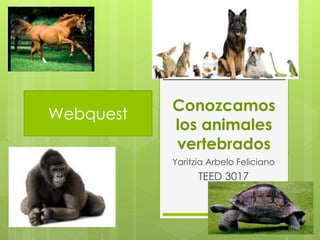 Conozcamos
los animales
vertebrados
Yaritzia Arbelo Feliciano
TEED 3017
Webquest
 
