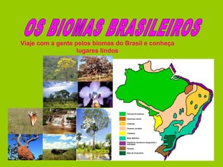 Viaje com a gente pelos biomas do Brasil e conheça
lugares lindos
 