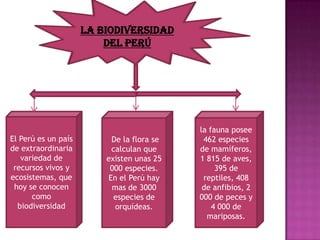 LA BIODIVERSIDAD
DEL Perú
El Perú es un país
de extraordinaria
variedad de
recursos vivos y
ecosistemas, que
hoy se conocen
como
biodiversidad
De la flora se
calculan que
existen unas 25
000 especies.
En el Perú hay
mas de 3000
especies de
orquídeas.
la fauna posee
462 especies
de mamíferos,
1 815 de aves,
395 de
reptiles, 408
de anfibios, 2
000 de peces y
4 000 de
mariposas.