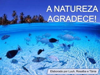 Elaborado por Luuh, Rosalba e Tânia
 