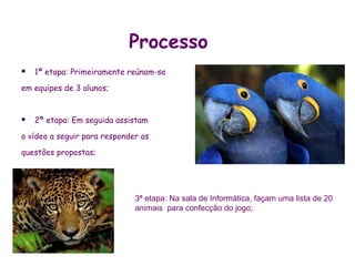 Processo
   1ª etapa: Primeiramente reúnam-se

em equipes de 3 alunos;


   2ª etapa: Em seguida assistam
o vídeo a seguir para responder as

questões propostas;




                              3ª etapa: Na sala de Informática, façam uma lista de 20
                              animais para confecção do jogo;
 
