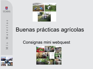 Buenas prácticas agrícolas

  Consignas mini webquest
 