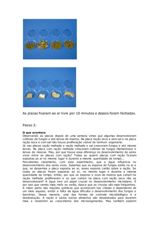 As placas ficaram ao ar livre por 10 minutos e depois foram fechadas. 
Passo 3: 
O que acontece 
Observando as placas depois de uma semana vimos que algumas desenvolveram 
colônias de fungos e até larvas de insetos. Na placa ração seca e sem sal e na placa 
ração seca e com sal não houve proliferação visível de nenhum organismo. 
Já nas placas ração molhada e ração molhada e sal cresceram fungos e até mesmo 
larvas. Na placa com ração molhada cresceram colônias de fungos filamentosos e 
larvas de moscas. Mas, por que houve essa diferença no desenvolvimento de seres 
vivos entre as placas com ração? Todas as quatro placas com ração ficaram 
expostas ao ar no mesmo lugar e durante a mesma quantidade de tempo... 
Percebemos claramente, com esse experimento, que a água influencia no 
desenvolvimento dos seres vivos. Sabemos que os esporos de fungos estão no ar e 
que, se deixarmos a placa exposta ao ar, esses esporos cairão sobre a ração. Se 
todas as placas foram expostas ao ar, no mesmo lugar e durante a mesma 
quantidade de tempo, então, por que os esporos e ovos de insetos que caíram na 
ração molhada proliferaram e os que caíram na placa com ração seca não se 
desenvolveram? A água tem um papel crucial no desenvolvimento microbiano. É 
por isso que vemos mais mofo no verão, época que as chuvas são mais frequentes. 
A maior parte das reações químicas que acontecem nas células é dependente de 
um meio aquoso, então a falta de água dificulta o desenvolvimento dos fungos e 
bactérias. Dessa maneira, uma das formas de controle microbiológico é a 
desidratação. A ração e vários outros alimentos são desidratados para durarem 
mais e resistirem ao crescimento dos microorganismos. Mas também existem 
 