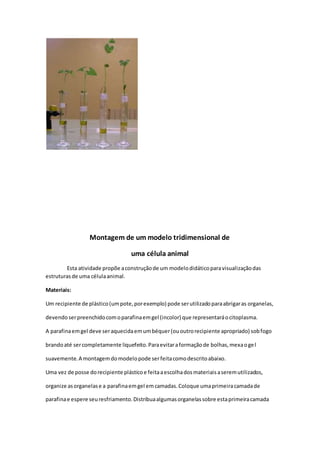 Montagem de um modelo tridimensional de 
uma célula animal 
Esta atividade propõe a construção de um modelo didático para visualização das 
estruturas de uma célula animal. 
Materiais: 
Um recipiente de plástico (um pote, por exemplo) pode ser utilizado para abrigar as organelas, 
devendo ser preenchido com o parafina em gel (incolor) que representará o citoplasma. 
A parafina em gel deve ser aquecida em um béquer (ou outro recipiente apropriado) sob fogo 
brando até ser completamente liquefeito. Para evitar a formação de bolhas, mexa o gel 
suavemente. A montagem do modelo pode ser feita como descrito abaixo. 
Uma vez de posse do recipiente plástico e feita a escolha dos materiais a serem utilizados, 
organize as organelas e a parafina em gel em camadas. Coloque uma primeira camada de 
parafina e espere seu resfriamento. Distribua algumas organelas sobre esta primeira camada 
 