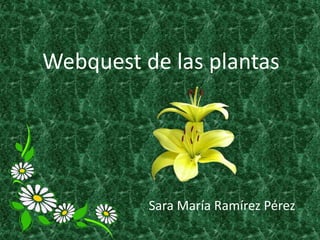 Webquest de las plantas




          Sara María Ramírez Pérez
 