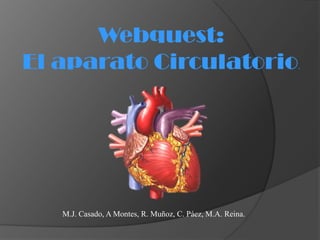 M.J. Casado, A Montes, R. Muñoz, C. Páez, M.A. Reina.
Webquest:
El aparato Circulatorio.
 