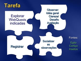 Tarefa Socializar  as  observações Fontes: Egito Cortiço Insetos Explorar W eb Q uests  indicadas Observar: Idéia geral Clareza/ Desafio Avaliação Registrar 