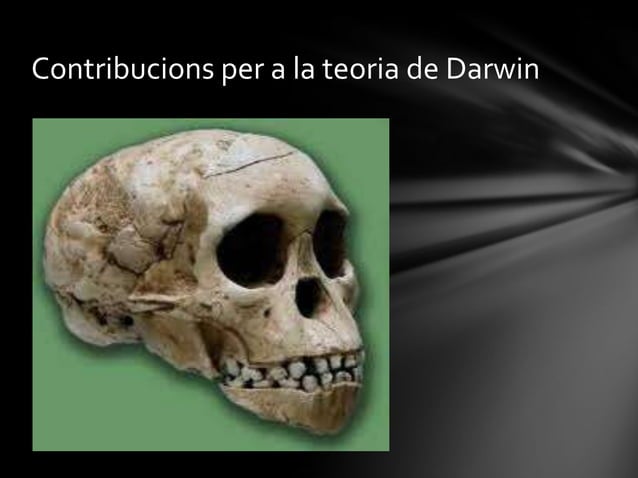 Webquest evolució | PPTX