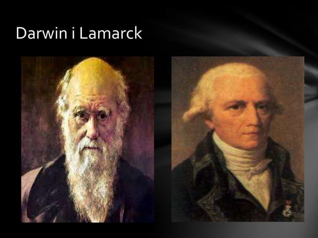 Webquest evolució | PPTX