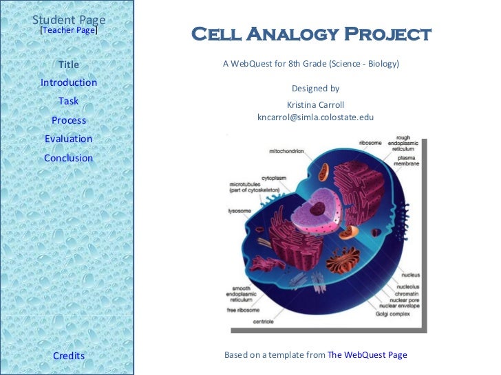 cell analogy project cell analogy project ideas