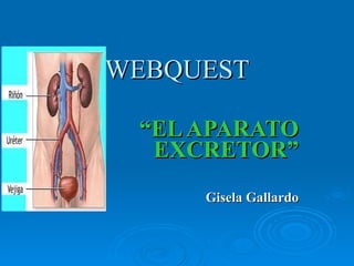 WEBQUEST “ EL APARATO EXCRETOR” Gisela Gallardo 