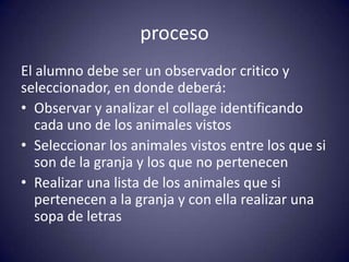 proceso
El alumno debe ser un observador critico y
seleccionador, en donde deberá:
• Observar y analizar el collage identificando
   cada uno de los animales vistos
• Seleccionar los animales vistos entre los que si
   son de la granja y los que no pertenecen
• Realizar una lista de los animales que si
   pertenecen a la granja y con ella realizar una
   sopa de letras
 