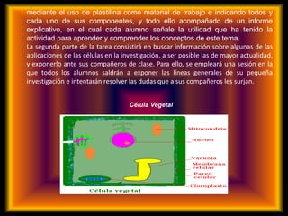 mediante el uso de plastilina como material de trabajo e indicando todos y
cada uno de sus componentes, y todo ello acompañado de un informe
explicativo, en el cual cada alumno señale la utilidad que ha tenido la
actividad para aprender y comprender los conceptos de este tema.
La segunda parte de la tarea consistirá en buscar información sobre algunas de las
aplicaciones de las células en la investigación, a ser posible las de mayor actualidad,
y exponerlo ante sus compañeros de clase. Para ello, se empleará una sesión en la
que todos los alumnos saldrán a exponer las líneas generales de su pequeña
investigación e intentarán resolver las dudas que a sus compañeros les surjan.
Célula Vegetal
 