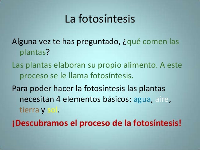 Las plantas en el proceso de la fotosintesis Las plantas en el proceso de la fotosintesis