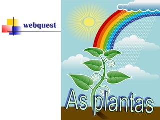 webquest 
 