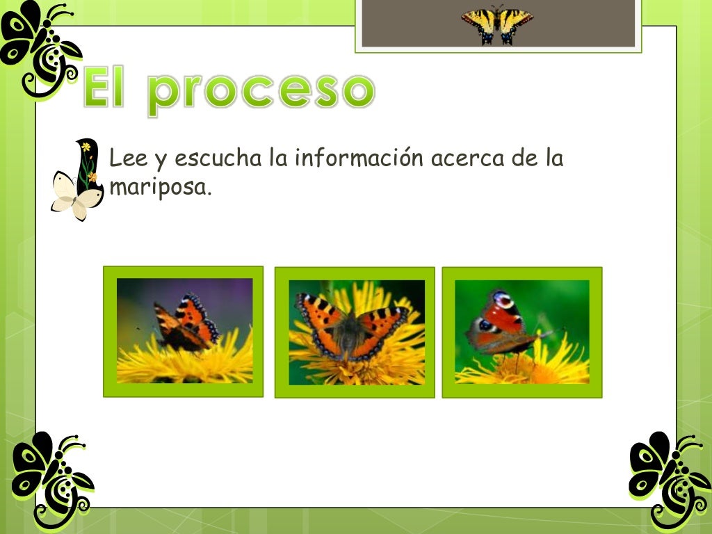 quest mariposa 1