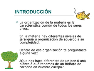 INTRODUCCIÓN La organización de la materia es la característica común de todos los seres vivos.  En la materia hay diferentes niveles de jerarquía u organización de acuerdo a su complejidad.  Dentro de esa organización te preguntaste alguna vez:  ¿Que nos hace diferentes de un pez ó una planta ó qué tenemos de un hidrato de carbono en nuestro cuerpo?  