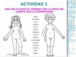 ACTIVIDAD 3
UNE CON FLECHAS EL NOMBRE CON LA PARTE DEL
        CUERPO QUE LE CORRESPONDE
 