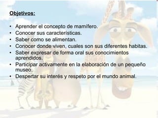 Objetivos: Aprender el concepto de mamífero. Conocer sus características. Saber como se alimentan. Conocer donde viven, cuales son sus diferentes habitas. Saber expresar de forma oral sus conocimientos aprendidos. Participar activamente en la elaboración de un pequeño museo. Despertar su interés y respeto por el mundo animal. 