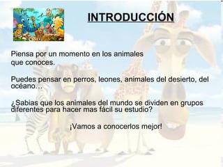 INTRODUCCIÓN Piensa por un momento en los animales que conoces. Puedes pensar en perros, leones, animales del desierto, del océano… ¿Sabias que los animales del mundo se dividen en grupos diferentes para hacer mas fácil su estudio?  ¡Vamos a conocerlos mejor! 