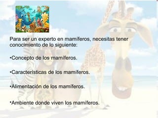 Para ser un experto en mamíferos, necesitas tener conocimiento de lo siguiente:     Concepto de los mamíferos.  Características de los mamíferos.   Alimentación de los mamíferos. Ambiente donde viven los mamíferos.   
