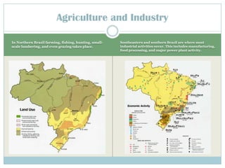 In Northern Brazil farming, fishing, hunting, small-scale lumbering, and even grazing takes place.Southeastern and southern Brazil arewhere most industrial activities occur. This includes manufacturing, food processing, and major power plant activity.Agriculture and Industry
