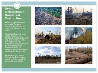 Brazil: Deforestation - Rainforest DestructionWhen people clear out spaces of the great Amazon Rainforest, it does much harm to the  earth.Workers clear out areas in the Amazon for buildings, farmlands, mining, and roads as well. Not only does this eliminate  many creatures by destroying their natural habitat, it destroys plants and trees  in this lush, leafy land. Deforestation causes there to be less oxygen; which is detrimental to the earth as a whole.