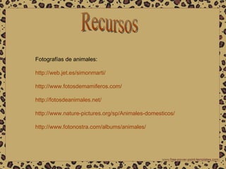 Recursos Fotografías de animales: http://web.jet.es/simonmarti/ http://www.fotosdemamiferos.com/ http://fotosdeanimales.net/ http://www.nature-pictures.org/sp/Animales-domesticos/ http://www.fotonostra.com/albums/animales/ 