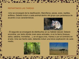 REPARTIMOS LAS TAREAS:  -Uno se encargará de la clasificación. Mamíferos, peces, aves, reptiles, anfibios. Deberá incluir a cada animal dentro del grupo que pertenezca de acuerdo a sus características. - El segundo se encargará de distribuirlos en su hábitat natural. Deberá encontrar, por tanto dónde viven esos animales, si en la tierra (bosque, selva, sabana, montañas…), en el agua (ríos, mares) o por el contrario en el aire. Una vez hecho esto, deberéis incluir una breve explicación de cada medio. 