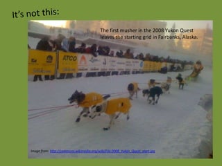 The first musher in the 2008 Yukon Quest
                                           leaves the starting grid in Fairbanks, Alaska.




Image from: http://commons.wikimedia.org/wiki/File:2008_Yukon_Quest_start.jpg
 
