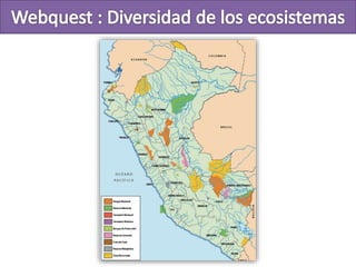 Webquest quispe anilu 1ºa