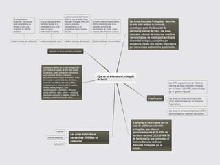 Webquest quispe anilu 1ºa