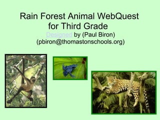 Rain Forest Animal WebQuest  for Third Grade   Designed  by (Paul Biron) (pbiron@thomastonschools.org)   