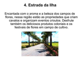 4. Estrada da Ilha

Encantada com o aroma e a beleza dos campos de
flores, nessa região estão as propriedades que criam
    cavalos e organizam eventos crioulos. Desfrute
     também os deliciosos produtos coloniais e os
        festivais de flores em campo de cultivo.
 