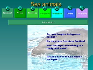Sea animals Credits Conclusions Evaluation For T-chers Introduction Can you imagine being a sea animal ? Do they have friends or families? How do they survive living in a really cold water? Would you like to be a marine biologist?? Homework Process Resources 
