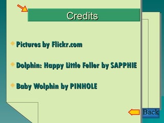 Credits <ul><li>Pictures by Flickr.com </li></ul><ul><li>Dolphin: Happy Little Feller by SAPPHIE </li></ul><ul><li>Baby Wo...