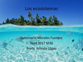 Los ecosistemas
Suleimarie Morales Fuentes
Teed 3017 M36
Profa. Arlinda López
 
