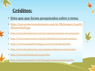 Créditos: 
• Sites que que foram pesquisados sobre o tema. 
• http://www.morroazuleventos.com.br/MyImages/capa% 
20savio%20.jpg 
• http://www.bicodocorvo.com.br/animais/animais-da-amazonia 
• http://www.universoneo.com.br/edinclusiva/projeto-animais 
• http://www.animalshow.hpg.ig.com.br/animalextin.htm 
• http://www.brasilescola.com/animais/extincao-animais.htm 
• http://www.pelosanimais.org.pt/faq 
• http://www.mundosites.net/biologia/animaisextincao.htm 
 