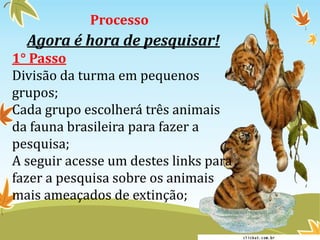Processo 
Agora é hora de pesquisar! 
1° Passo 
Divisão da turma em pequenos 
grupos; 
Cada grupo escolherá três animais 
da fauna brasileira para fazer a 
pesquisa; 
A seguir acesse um destes links para 
fazer a pesquisa sobre os animais 
mais ameaçados de extinção; 
 