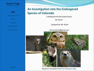 An Investigation into the Endangered  Species of Colorado Student Page Title Introduction Task Process Evaluation Conclusion Credits [ Teacher Page ] A WebQuest for 8th Grade Science Designed by: Ms. Burke  Ms. Burke  [email_address] Based on a template from  The  WebQuest  Page 