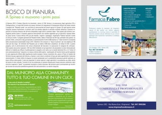 QUISPINEA
PRIMAVERA 2018
18
BOSCO DI PIANURA
A Spinea si muovono i primi passi
A Gennaio 2018 il Sindaco Checchin ha incontrato i tecnici di CAV, Veritas e le associazioni degli agricoltori CIA e
Confagricoltura. Lo scopo dell’incontro era essere informati sul programma di forestazione diffusa che metta insieme
il progetto del “Passante verde” con una ottica di valorizzazione dei terreni agricoli di Spinea. Gli spazi agricoli anche
marginali possono trasformarsi in polmoni verdi con elevata capacità di assorbire anidride carbonica e possono mi-
gliorare la sicurezza idraulica del territorio diventando luoghi dove si piantano alberi. Tutto questo può avvenire coin-
volgendo partner diversi e trovando opportuni finanziamenti che rendano appetibile per gli agricoltori ospitare alberi
sui propri terreni. Il bosco diffuso offre poi altri benefici: migliora il paesaggio, implementa l’habitat naturale e rende
la città più vivibile. Il progetto generale del Passante Verde, ideato e finanziato da CAV Spa, permette tutto questo: ha
previsto infatti, come primo step già realizzato, la piantumazione di oltre 5.000 essenze su 7 ettari di terreni di proprietà
della concessionaria autostradale lungo la A4. L’obiettivo è far crescere un “bosco di pianura” per una larghezza di 40
metri per lato lungo i 32 chilometri del Passante, per un totale di 400 ettari complessivi. Gli alleati di CAV, in questo
progetto, sono le amministrazioni dei comuni attraversati dal tracciato e le associazioni di categoria dei coltivatori.
Tutto questo senza alcun esproprio: CAV sta infatti trattando con gli agricoltori che possiedono le aree interessate per
definire le modalità più efficaci di partecipazione al progetto e dal canto suo la società destinerà fino a 3,7 milioni di
euro esclusivamente per l’acquisto e la messa a dimora delle piante. I partecipanti all’incontro hanno quindi esplorato
le varie opportunità offerte dalla legislazione anche europea e hanno riscontrato che, grazie al Piano di Assetto del
Territorio da poco approvato dal Comune, a Spinea ci sono tutte le condizioni di base per poter approfondire il percorso
amministrativo. Si tratta infatti di integrare la visione ambientale con la sostenibilità economica perché realizzare un
bosco diffuso valorizzando il ruolo dei proprietari di terreni agricoli e degli agricoltori è sicuramente una sfida, anche
dal punto di vista culturale. L’incontro di ieri ha evidenziato un grande interesse per trovare soluzioni condivise e dare
vita ad un approccio “green” sicuramente innovativo a livello nazionale. Nei prossimi giorni continueranno gli incontri
per arrivare ad una prima piattaforma generale che sarà analizzata in un tavolo congiunto.
DAL MUNICIPIO ALLA COMMUNITY.
TUTTO IL TUO COMUNE IN UN CLICK.
Oggi via telefono puoi fissare l’appuntamento per ottene-
re la Carta di Identità Elettronica. Puoi scegliere di fare la
Carta di Identità Elettronica anche in pausa pranzo!
Dal lunedì al venerdì: 8.00 - 14.00
martedì e giovedì: anche 14.30 - 18.00
800 001822
urp@comune.spinea.ve.it
La tua carta di identità è scaduta?
Hai smarrito il tuo documento di identità?
“Prendere appuntamento significa non
attendere e soprattutto per chi lavora o
deve fare il documento per i figli minorenni,
significa potersi programmare la giornata,
potendo scegliere l’ora più comoda in base
ai propri impegni”.
Emanuele Ditadi
Vice Sindaco e Assessore all’innovazione
 