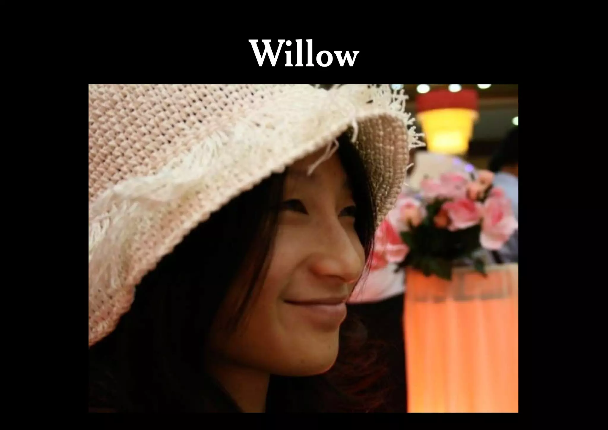 Willow 