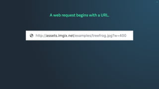 GET /examples/treefrog.jpg?w=400 HTTP/1.1
Host: assets.imgix.net
User-Agent: curl/7.54.0
Accept: image/webp,*/*
Accept-Enc...
